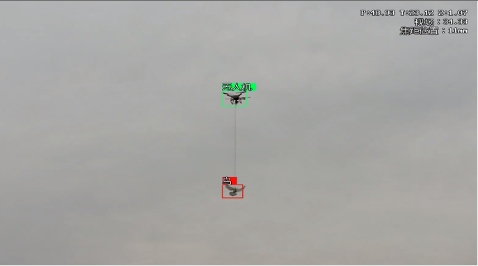 de identificación de aves